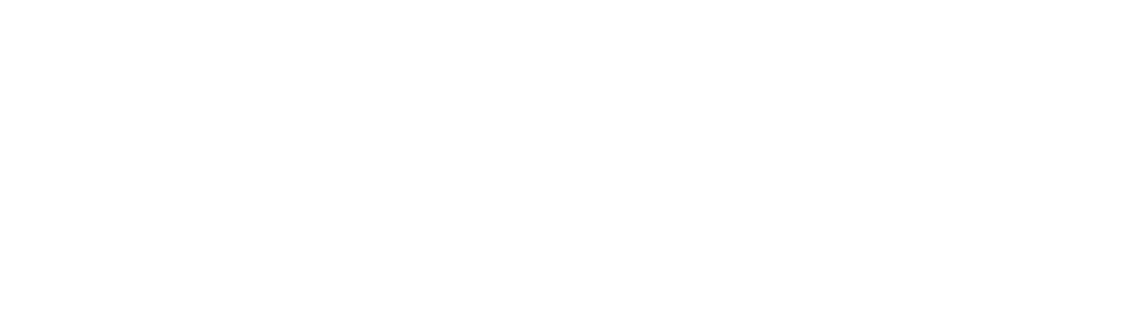 logo AP pour footer